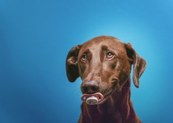 Laughing Through the Pain: The Hidden Trauma Behind Humor