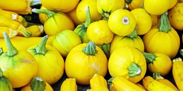 Unleashing Fury: Exploring the Catharsis of Personal Rage Dumps