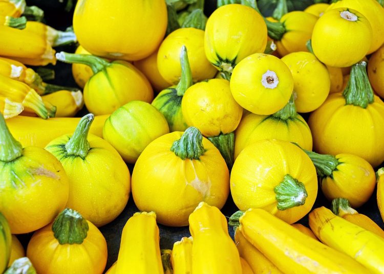 Unleashing Fury: Exploring the Catharsis of Personal Rage Dumps